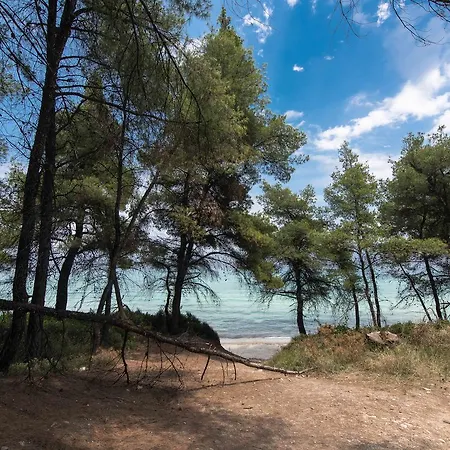#luxlikehome - Pines By The Sea * Kriopigi
