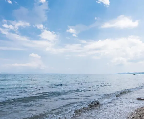 Pines By The Sea By Luxlikehome